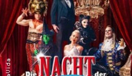 Die Nacht der Musicals - Die erfolgreichste Musicalgala aller Zeiten